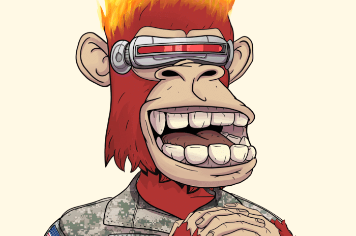 Timeless Ape Club
