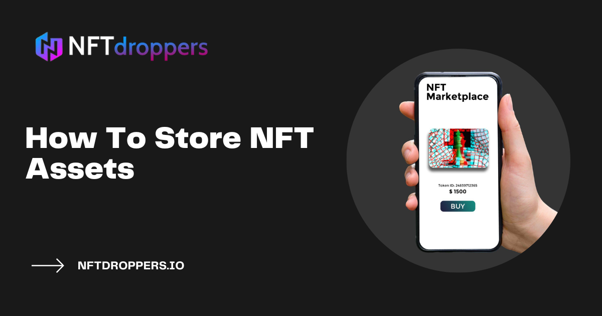 How To Store NFT Assets- Beginner Guide