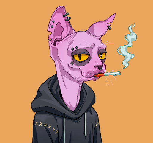 Emo Cat NFT
