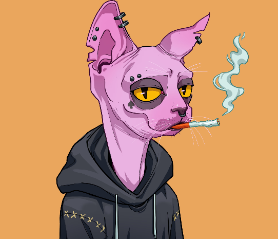 Emo Cat NFT