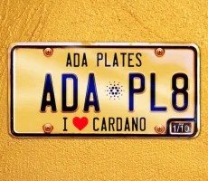 ada plates