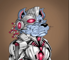 FUNKY WOLVES