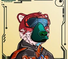 MEKA BEARS