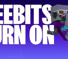 Meebits NFT