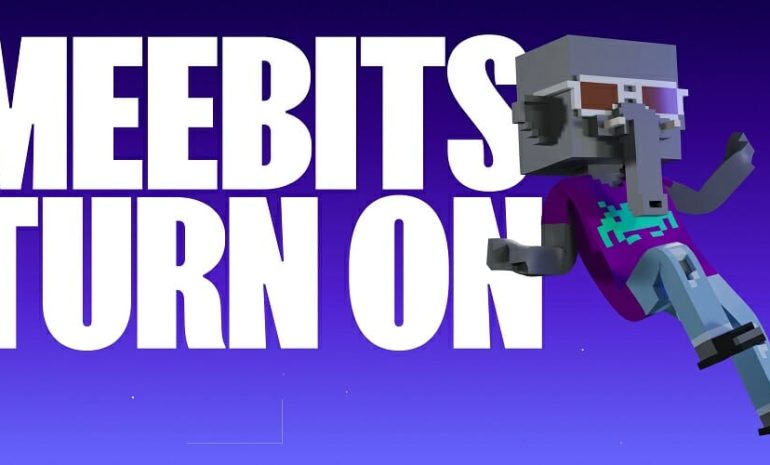 Meebits NFT