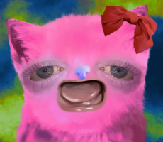THE CURSED CATS