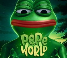 The Pepe World