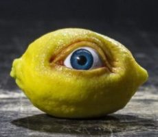 The All Seeing Lemon