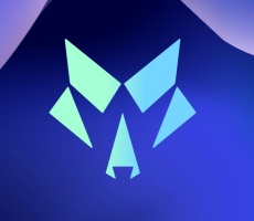 WOLF CAPITAL