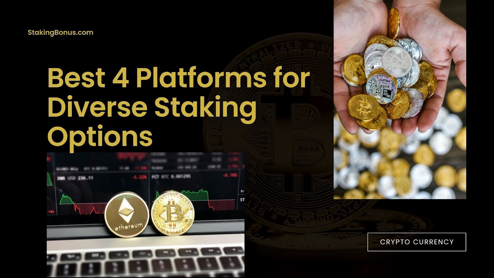 Best Platforms for Diverse Staking Options