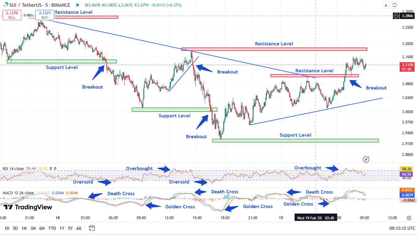 Chart 1 - Analyzed by Buvaneswari_L, published on TradingView, Feb 19, 2025