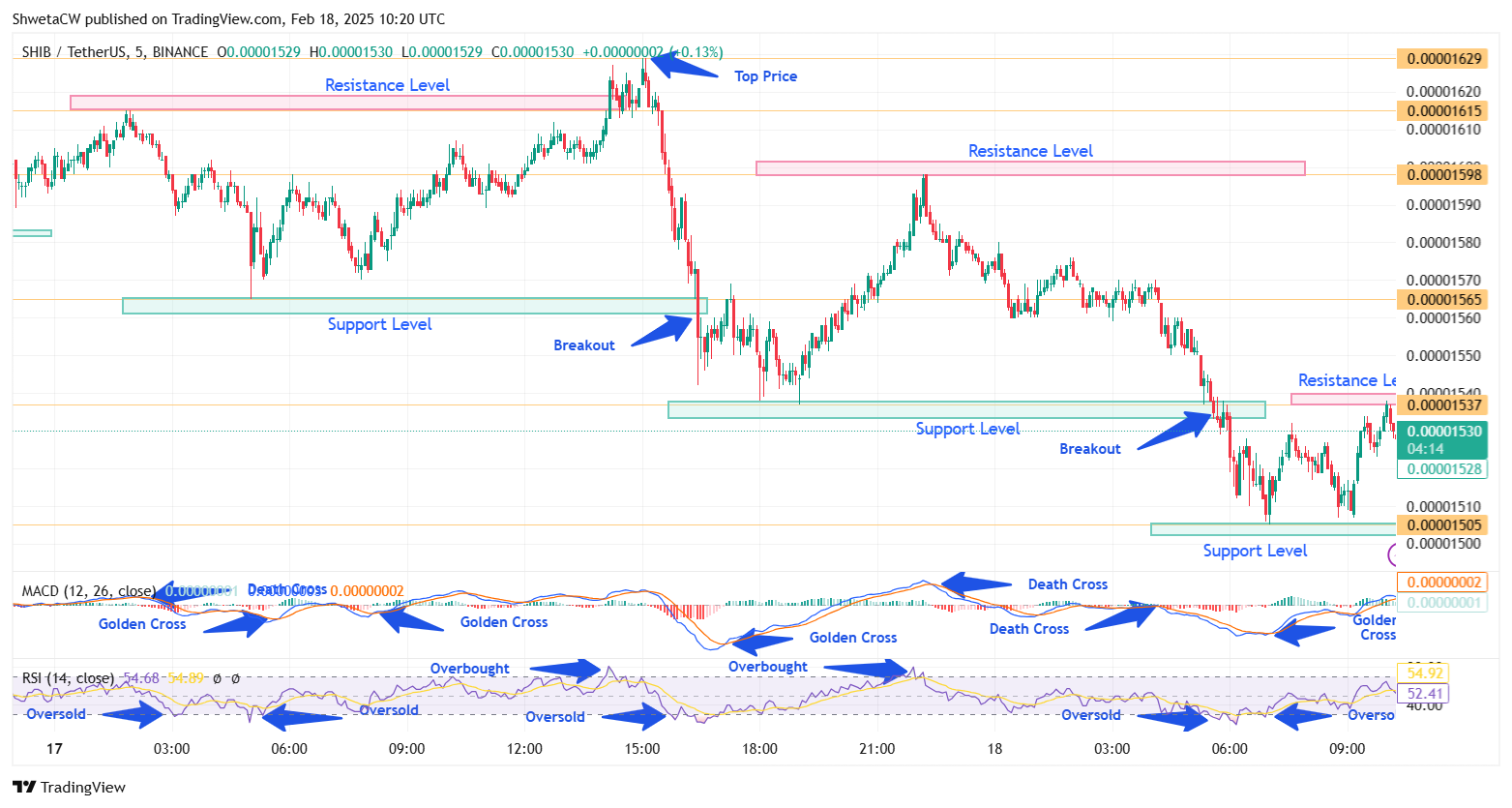 Chart 1, Analyzed by ShwetaCW, published on TradingView, February 18, 2025